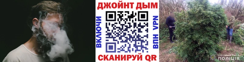 APVP Глазов