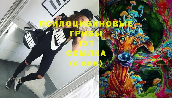 ALPHA-PVP Алексеевка